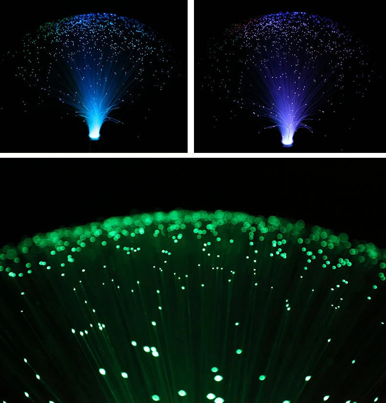 Fiber Optic Lamp